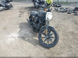 HARLEY-DAVIDSON HARLEY-DAVIDSON XL883 N