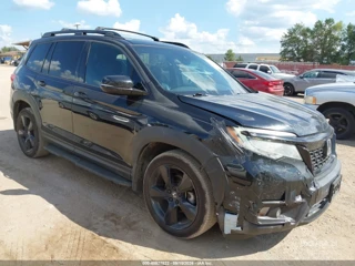 HONDA HONDA PASSPORT ELITE