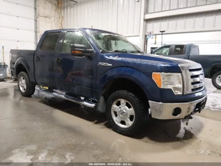 FORD FORD F-150 XLT