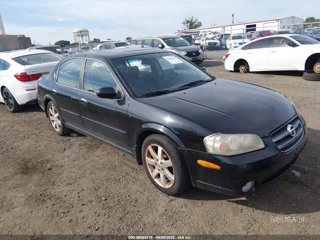 NISSAN NISSAN MAXIMA GLE