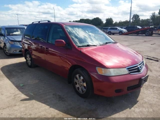 HONDA HONDA ODYSSEY EX-L