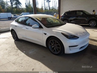 TESLA TESLA MODEL 3 REAR-WHEEL DRIVE