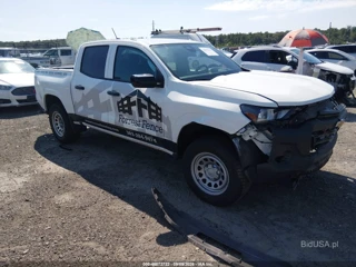 CHEVROLET CHEVROLET COLORADO 2WD WT