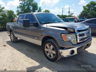 FORD FORD F-150 XLT