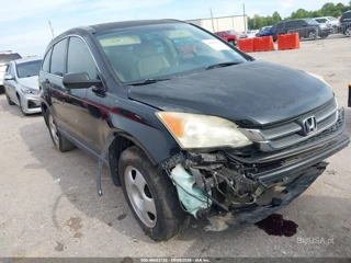 HONDA HONDA CR-V LX