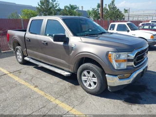 FORD FORD F-150 XLT