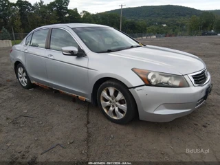HONDA HONDA ACCORD 2.4 EX-L
