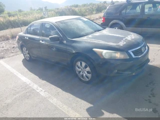 HONDA HONDA ACCORD 3.5 EX-L