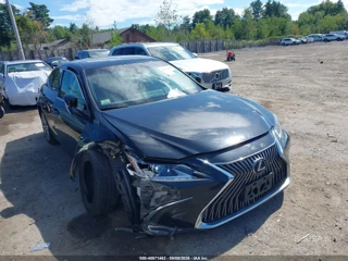 LEXUS LEXUS ES 350