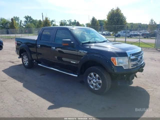 FORD FORD F-150 XLT