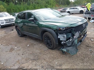 MAZDA MAZDA CX-50 2.5 S PREFERRED