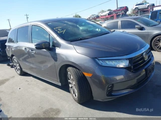 HONDA HONDA ODYSSEY EX-L