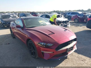 FORD FORD MUSTANG ECOBOOST