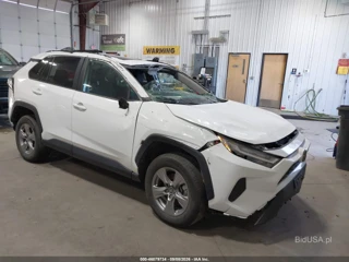 TOYOTA TOYOTA RAV4 XLE