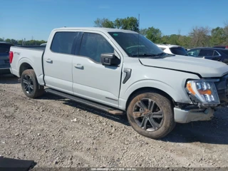FORD FORD F-150 XLT