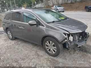 HONDA HONDA ODYSSEY EX-L