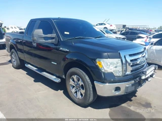 FORD FORD F-150 XLT