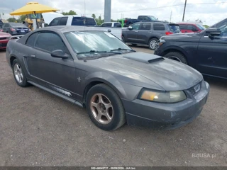 FORD FORD MUSTANG