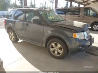 FORD FORD ESCAPE XLT