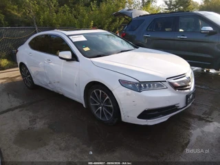 ACURA ACURA TLX V6