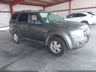 FORD FORD ESCAPE XLT