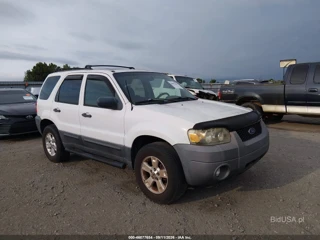 FORD FORD ESCAPE XLT/XLT SPORT