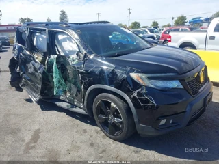 HONDA HONDA PASSPORT ELITE