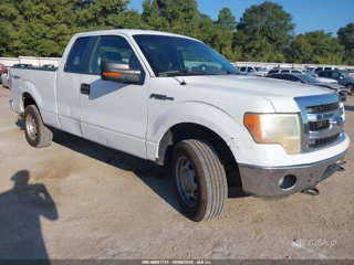 FORD FORD F-150 XLT