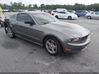 FORD FORD MUSTANG V6/V6 PREMIUM