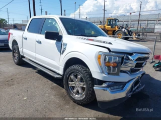FORD FORD F-150 XLT