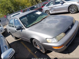 TOYOTA TOYOTA COROLLA