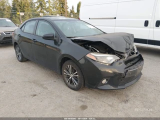 TOYOTA TOYOTA COROLLA LE PLUS