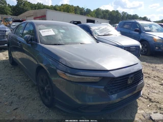 HONDA HONDA ACCORD SE