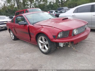 FORD FORD MUSTANG GT DELUXE/GT PREMIUM
