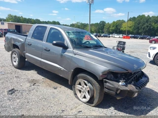 DODGE DODGE DAKOTA BIGHORN/LONESTAR