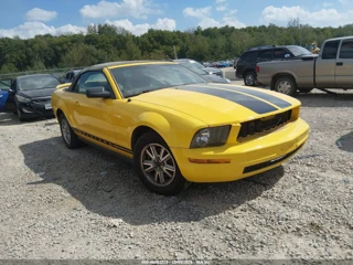 FORD FORD MUSTANG V6