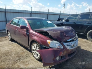 TOYOTA TOYOTA AVALON XLS