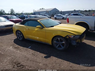 FORD FORD MUSTANG V6