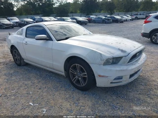 FORD FORD MUSTANG V6 PREMIUM
