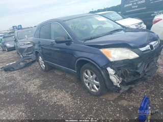 HONDA HONDA CR-V EX