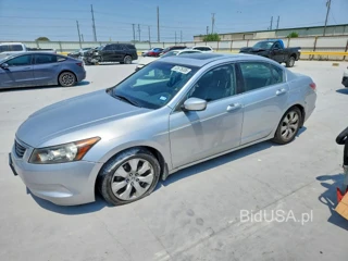 HONDA ACCORD EXL