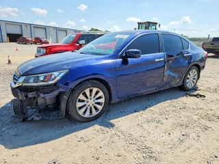 HONDA ACCORD EXL