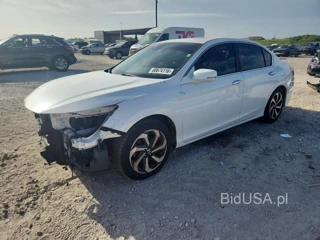 HONDA ACCORD EXL