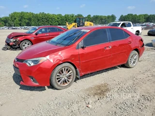 TOYOTA COROLLA LE PLUS