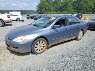 HONDA ACCORD SE