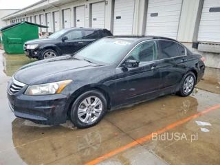 HONDA ACCORD SE