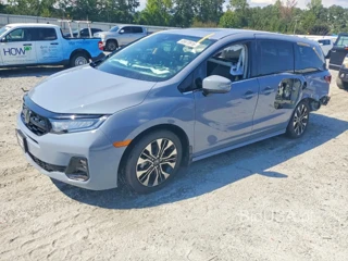 HONDA ODYSSEY ELITE