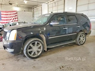 CADILLAC ESCALADE LUXURY