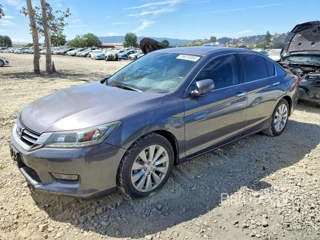 HONDA ACCORD EXL