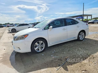 LEXUS HS 250H